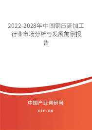 鋼壓延加工行業市場分析與發展前景報告（2022-2028年）